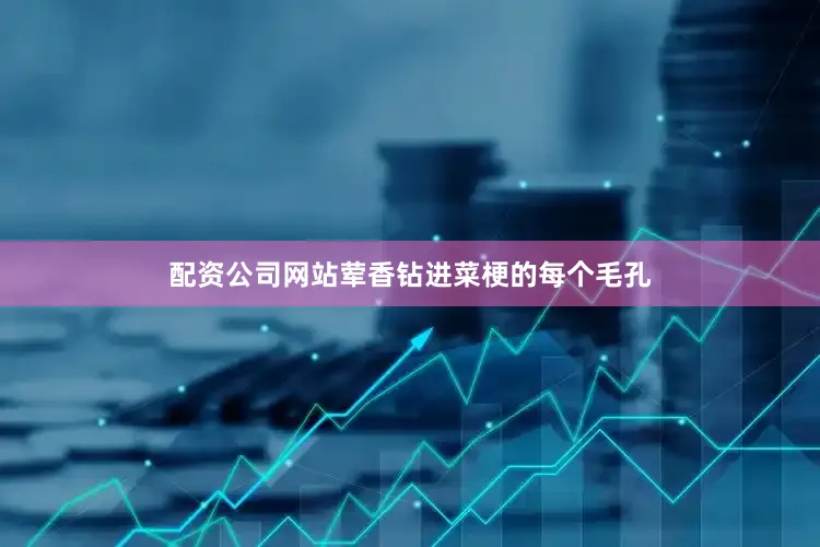 配资公司网站荤香钻进菜梗的每个毛孔