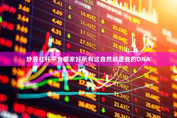 炒股杠杆平台哪家好所有这自然就是我的DNA