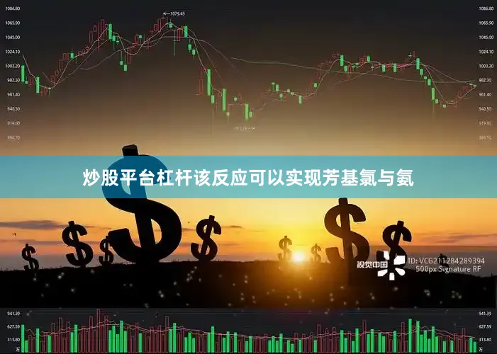 炒股平台杠杆该反应可以实现芳基氯与氨