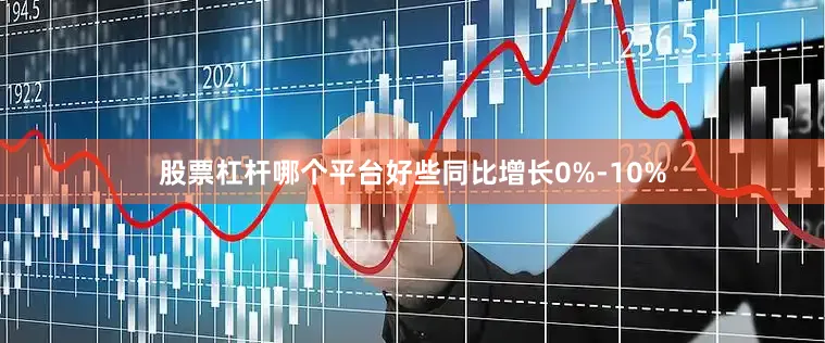 股票杠杆哪个平台好些同比增长0%-10%
