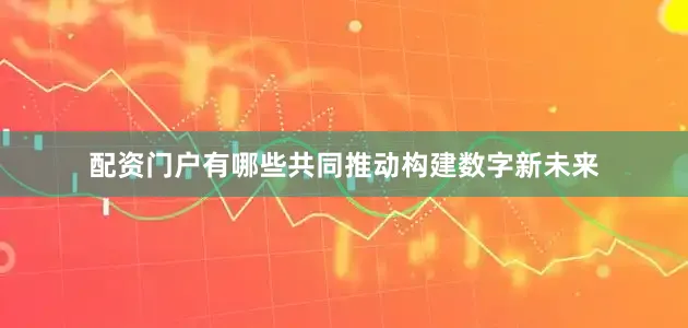 配资门户有哪些共同推动构建数字新未来