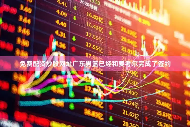 免费配资炒股网址广东男篮已经和麦考尔完成了签约
