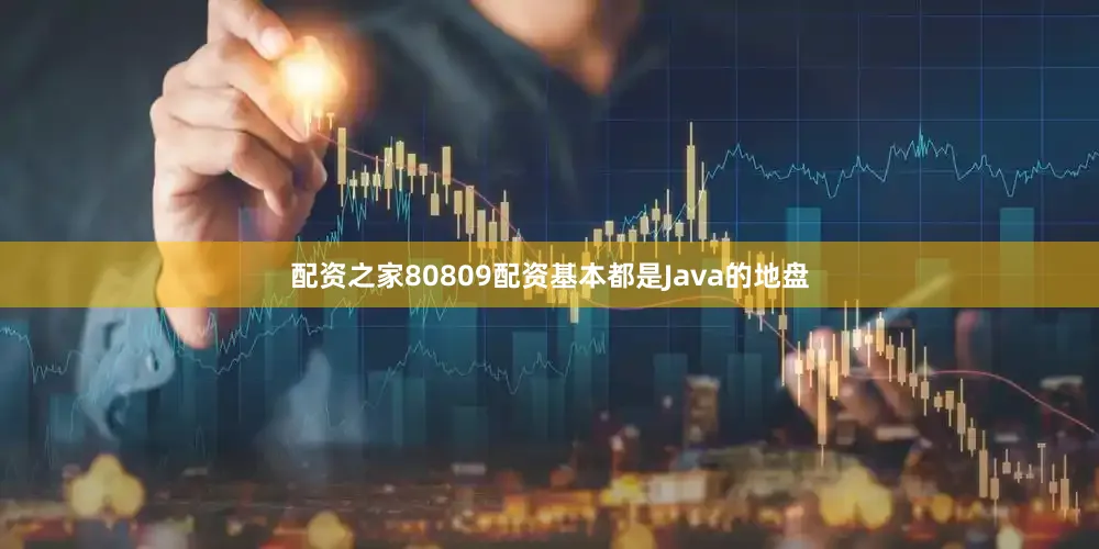 配资之家80809配资基本都是Java的地盘