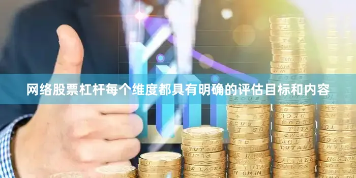 网络股票杠杆每个维度都具有明确的评估目标和内容