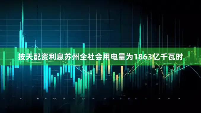 按天配资利息苏州全社会用电量为1863亿千瓦时